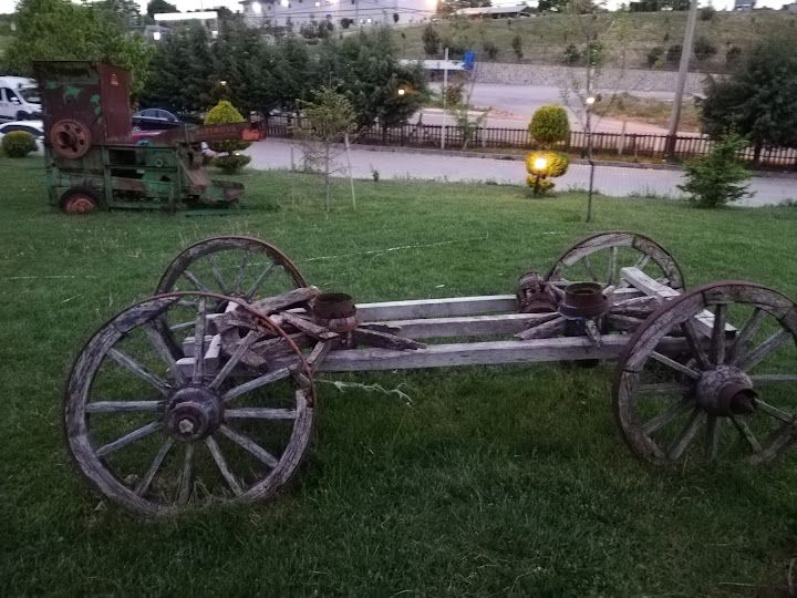 Fotoğraf 7