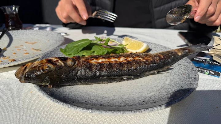 Fotoğraf 38