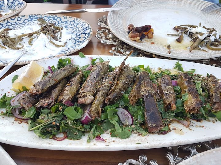 Fotoğraf 25