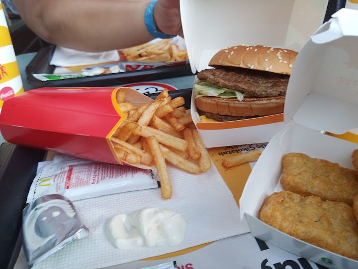 Fotoğraf 12