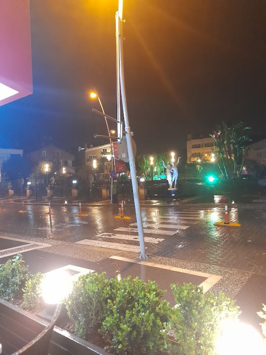 Fotoğraf 14