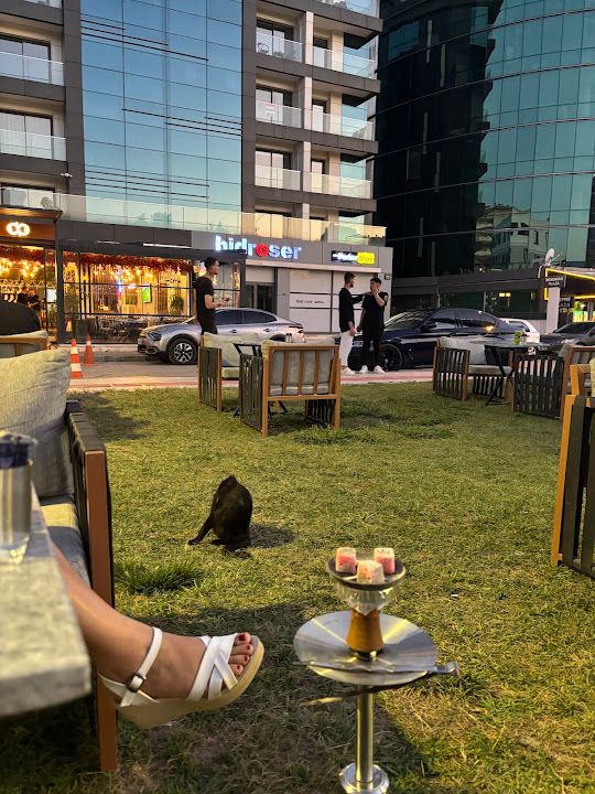 Yorum fotoğrafı 3