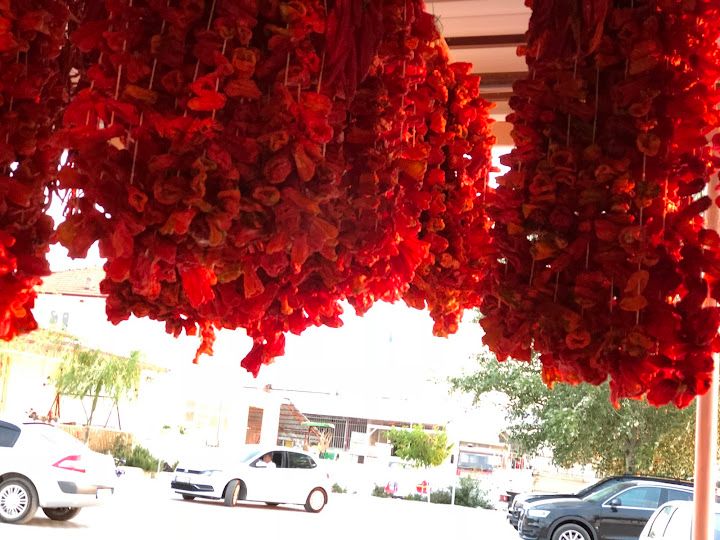 Fotoğraf 25