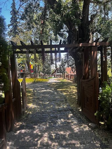 Yorum fotoğrafı 8