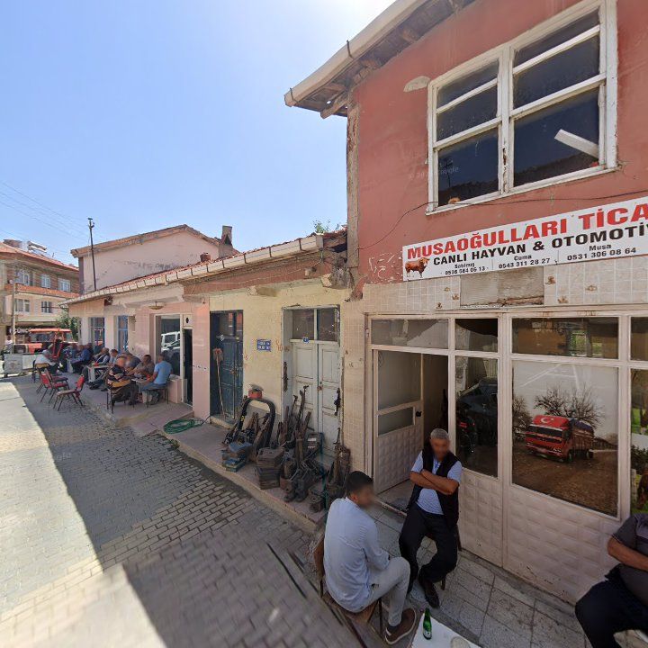 Fotoğraf 3