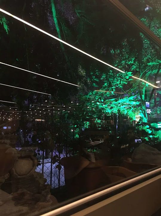 Fotoğraf 73