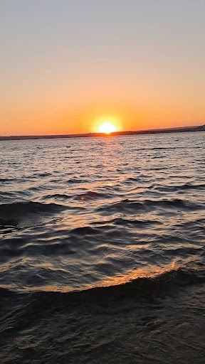 Fotoğraf 24