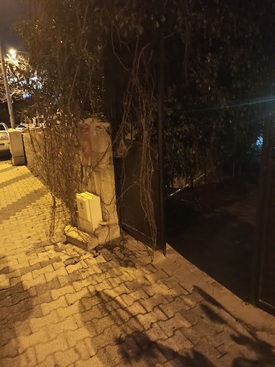 Yorum fotoğrafı 4