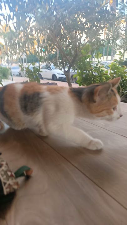 Yorum fotoğrafı 3