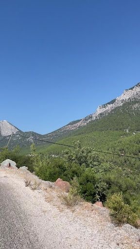 Yorum fotoğrafı 4