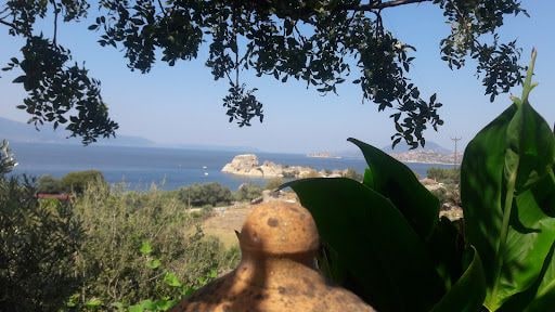 Fotoğraf 14