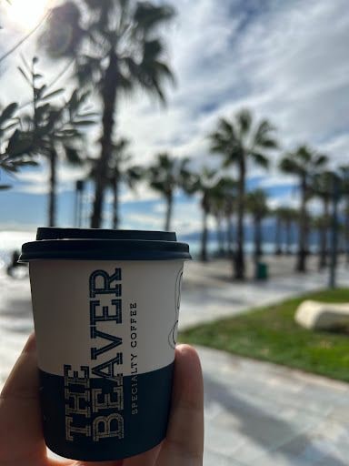 Yorum fotoğrafı 7