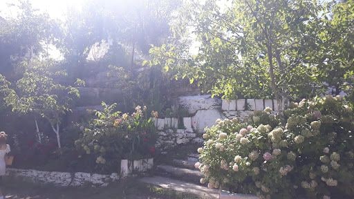 Fotoğraf 22