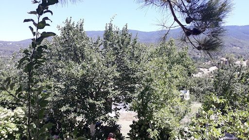 Fotoğraf 31