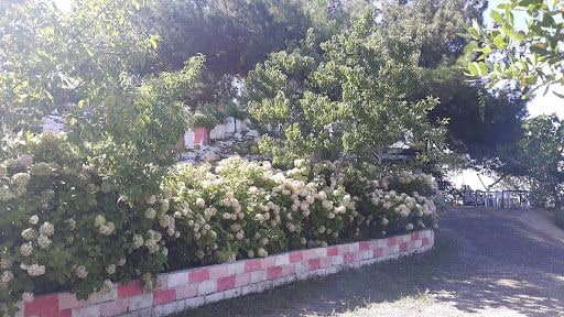 Fotoğraf 23