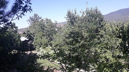 Fotoğraf 24