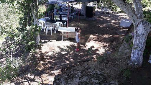 Fotoğraf 26