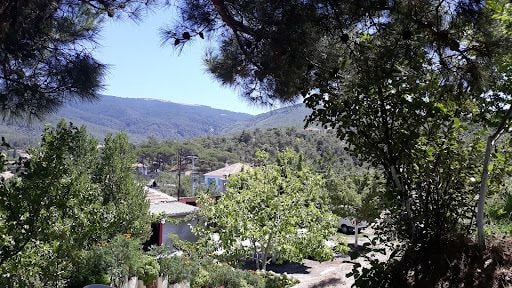 Fotoğraf 27