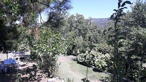 Fotoğraf 28