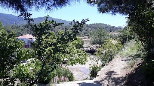 Fotoğraf 29