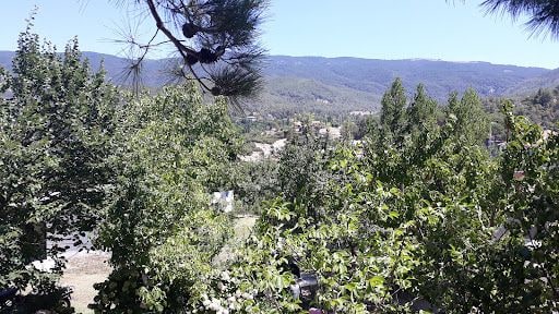 Fotoğraf 30