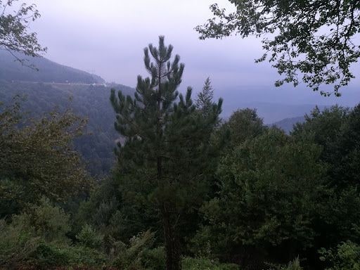 Yorum fotoğrafı 5