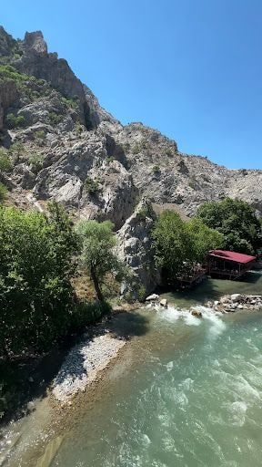 Yorum fotoğrafı 8
