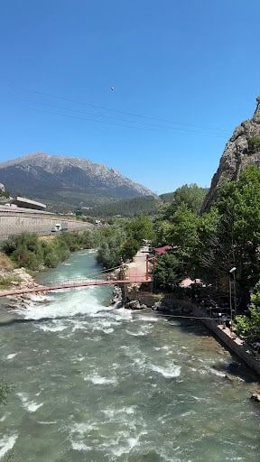 Yorum fotoğrafı 9