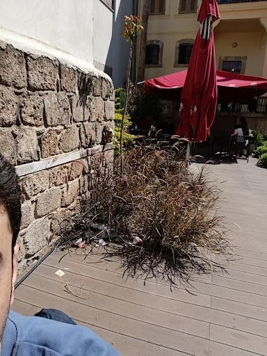 Yorum fotoğrafı 4