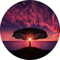 mehmet ali sayalı