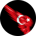 Mehmet ali Tosun