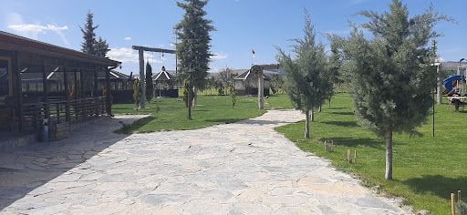 Fotoğraf 16