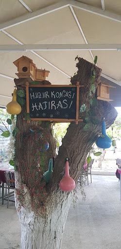 Fotoğraf 25