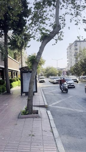 Yorum fotoğrafı 3