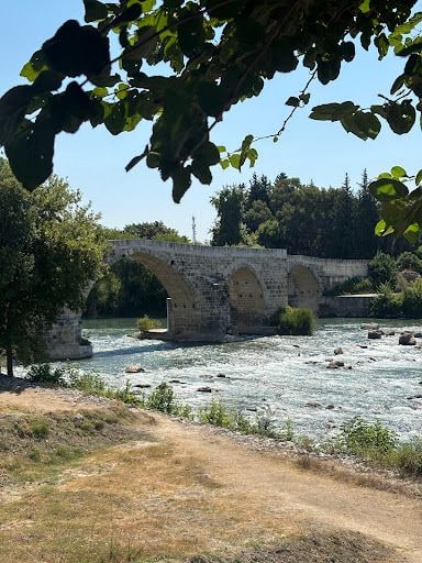 Yorum fotoğrafı 4