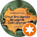 Mehmet çini