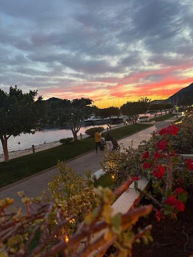 Yorum fotoğrafı 5