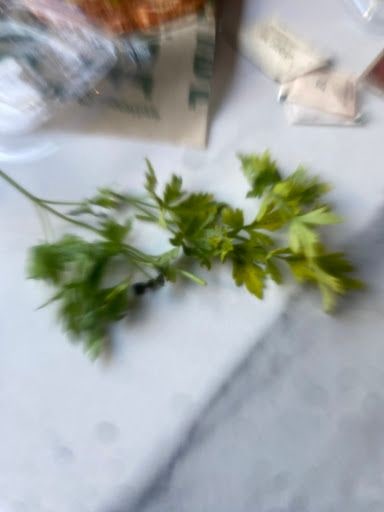 Fotoğraf 16