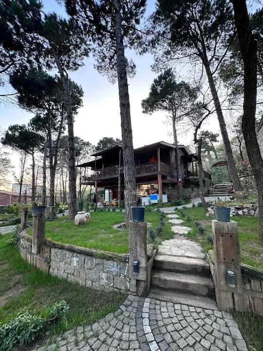 Yorum fotoğrafı 3