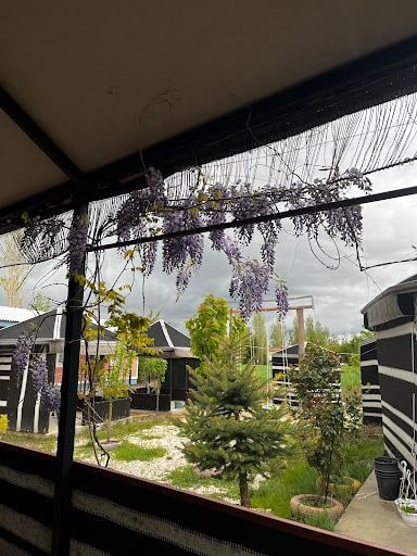 Fotoğraf 20