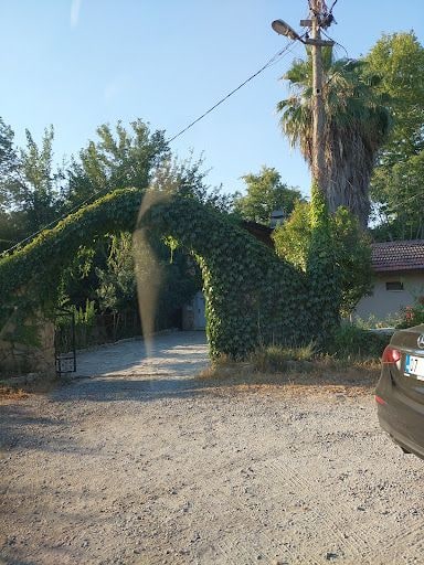 Yorum fotoğrafı 3