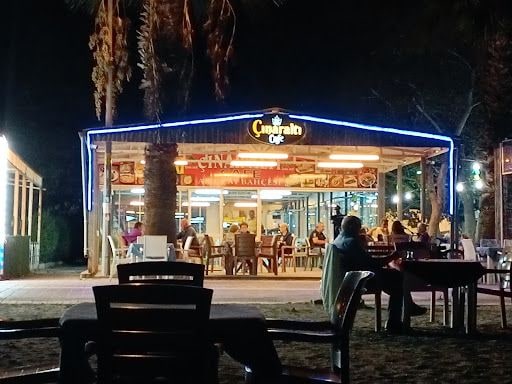 Fotoğraf 14