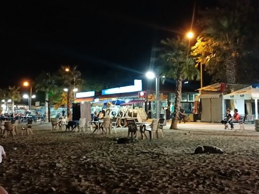 Fotoğraf 15