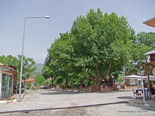 Yorum fotoğrafı 7