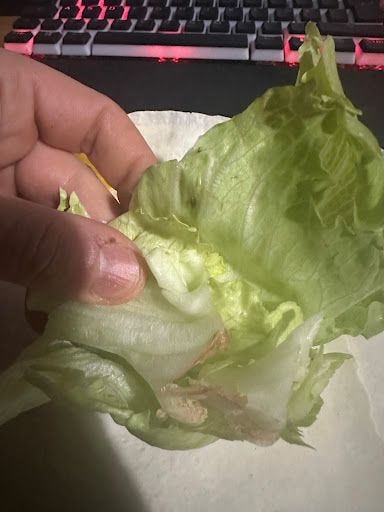 Yorum fotoğrafı 2