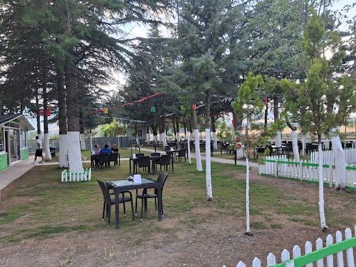 Yorum fotoğrafı 7