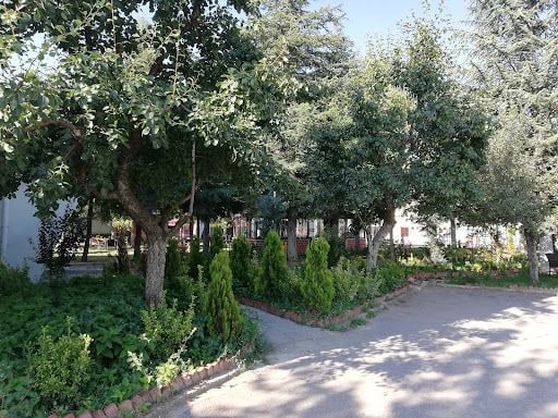 Yorum fotoğrafı 8
