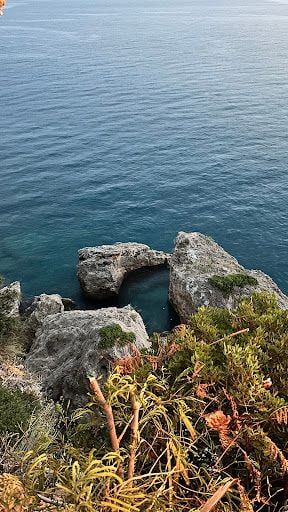 Fotoğraf 21
