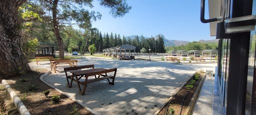 Yorum fotoğrafı 6