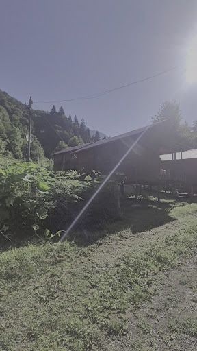 Fotoğraf 33